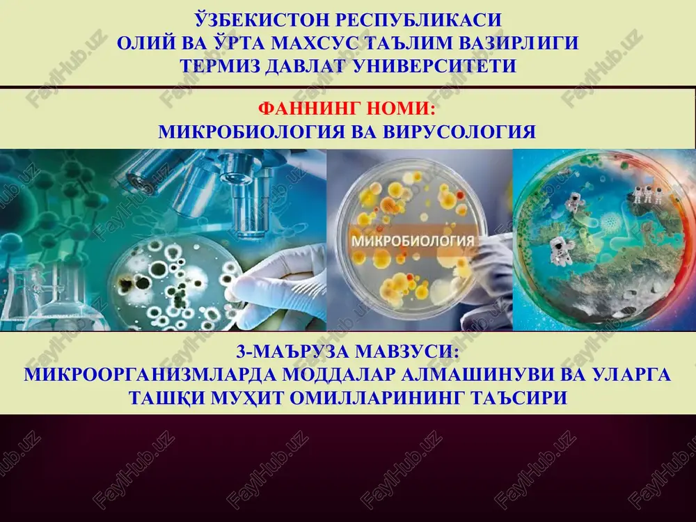 mikrobiologiyava virusologiya — PPT