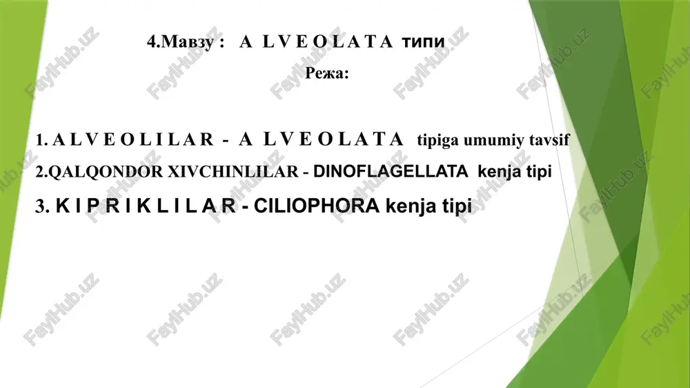 a l v e o l a t atipi — PPTX