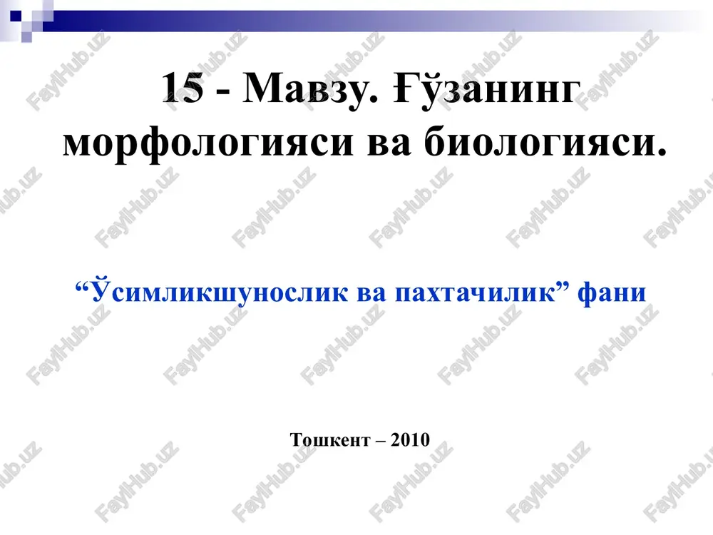 g'o'zaning morfologiyasi va biologiyasi — PPT