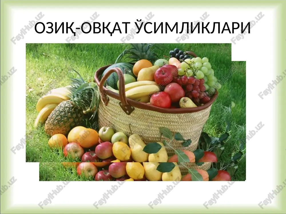 oziq-ovqat o'simliklari — PPT