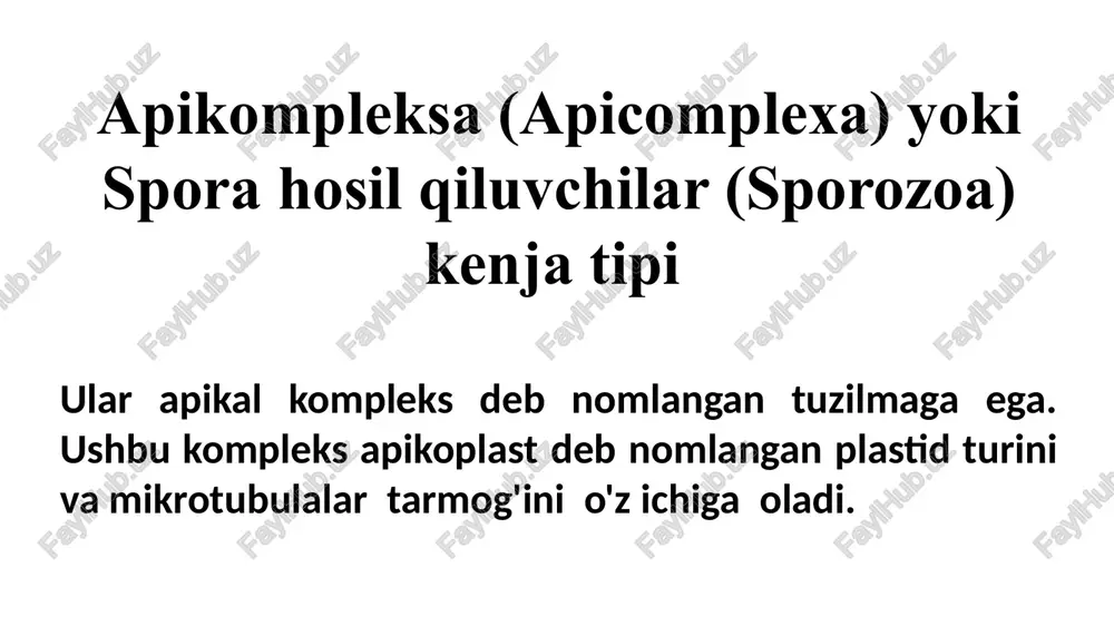 apikompleksa (apicomplexa) yoki spora hosil qiluvchilar (sporozoa) — PPTX
