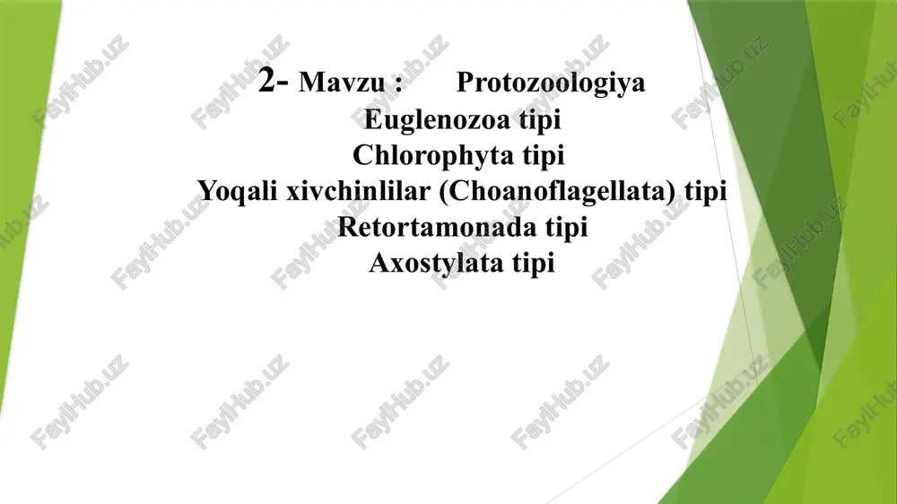 evglenozoylar(leuglenozoa) — PPTX