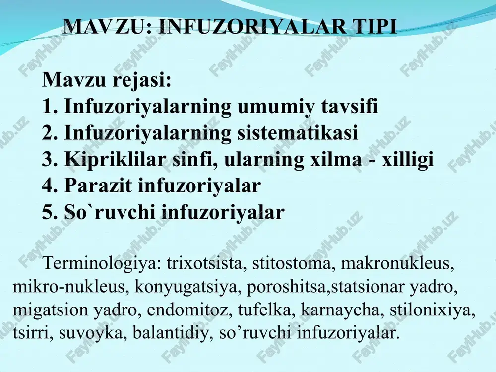 infuzoriyalar turi — PPT