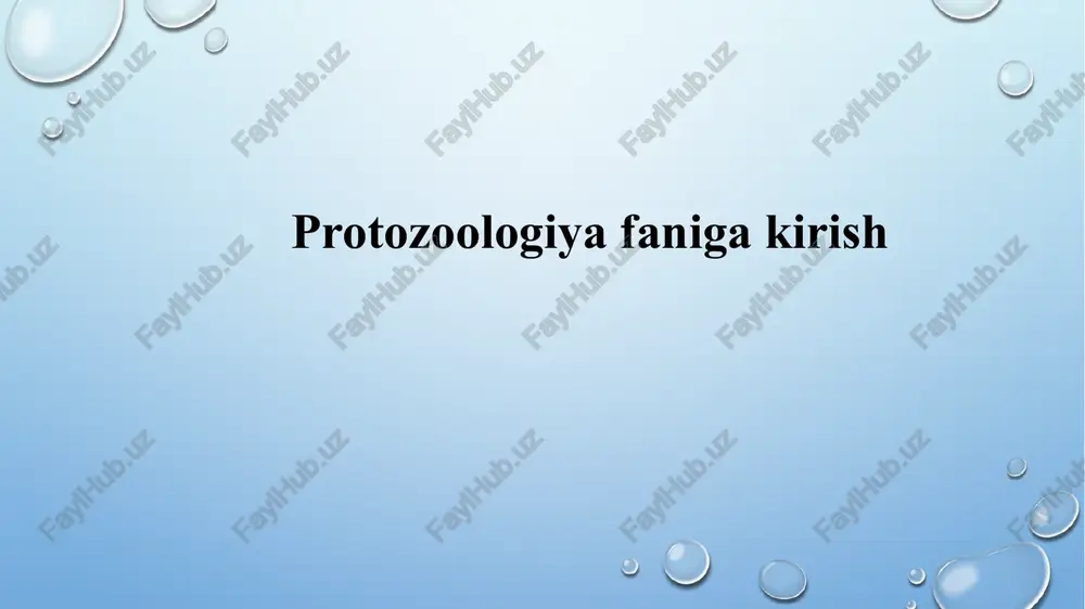 protozoologiyafanigakirish — PPTX