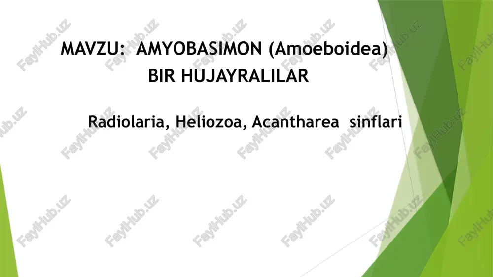 amyobasimon (amoeboidea) — PPTX