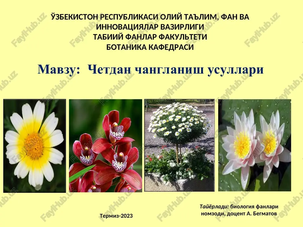 chetdan changlanish usullari — PPT