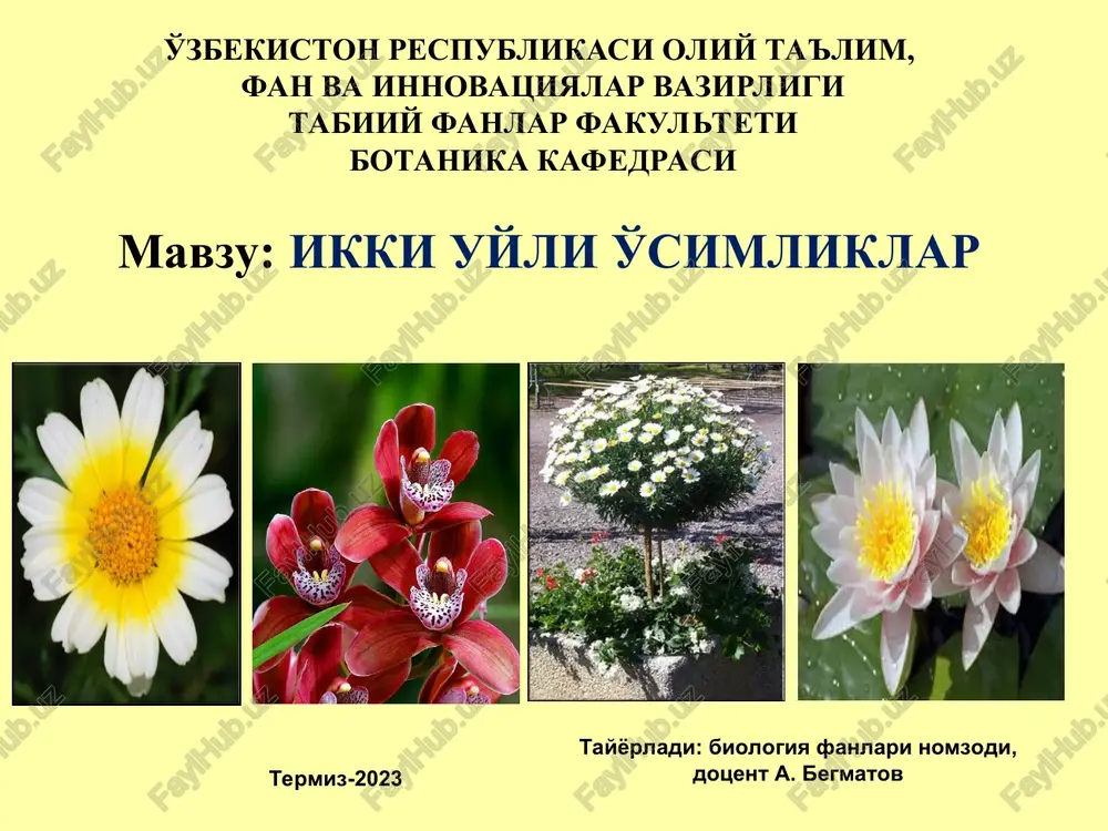 ikki uyli o'simliklar — PPT