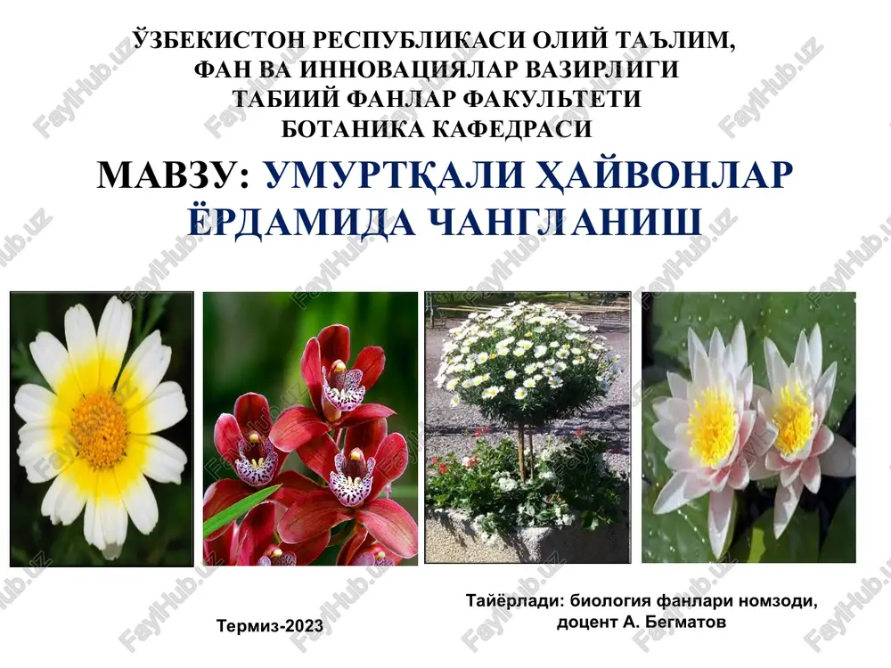 umurtqali hayvonlar yordamida changlanish — PPT