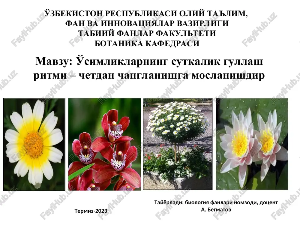 o'simliklarning sutkalik gullash ritmi — PPT