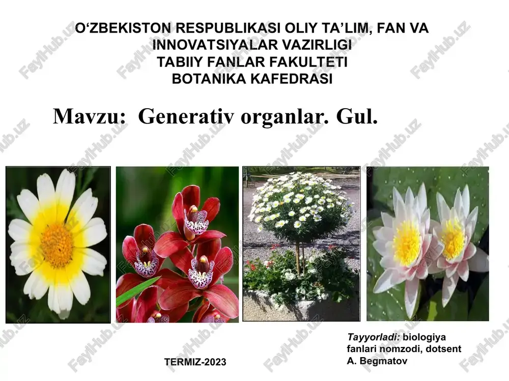 generativ organlar. gul. — PPT
