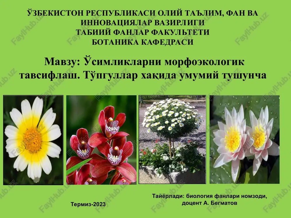 o'simliklarni morfoekologik tavsiflash — PPT