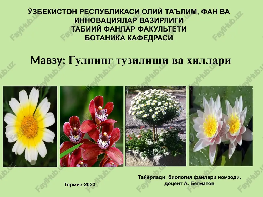 gulning tuzilishi va xillari — PPTX