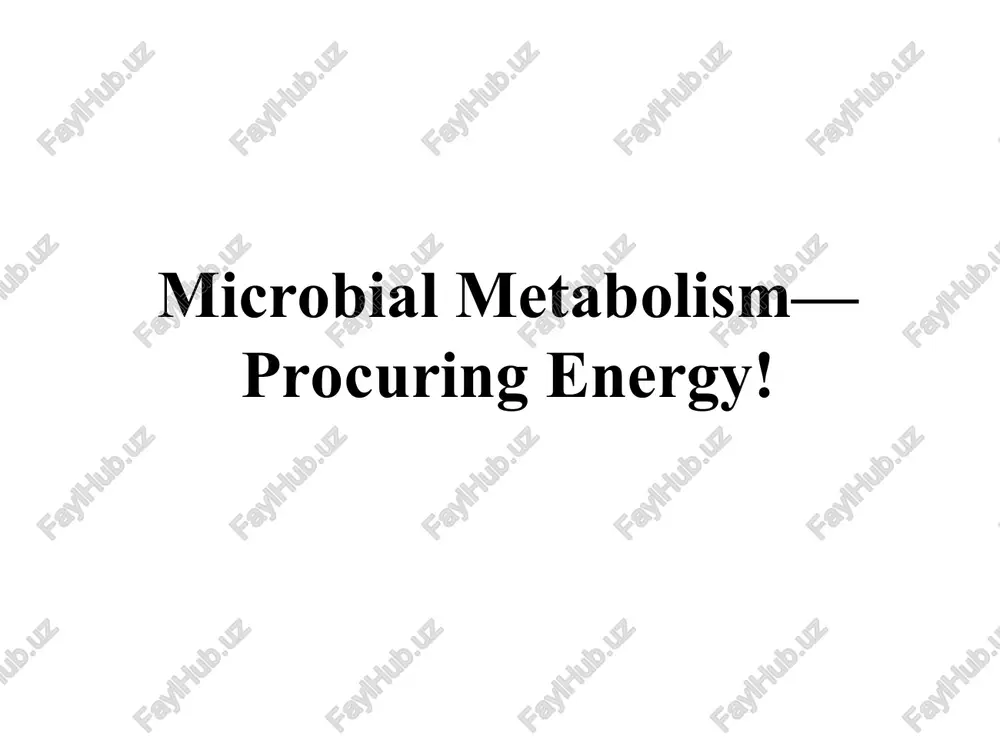 microbial metabolism—procuring energy! — PPT