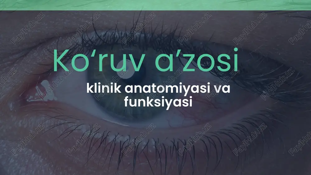 ko‘ruv a’zosi — PPTX