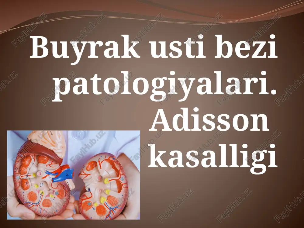 buyrak usti bezining patologiyalari — PPTX