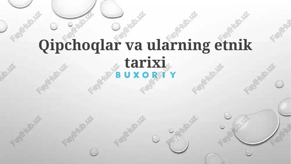 qipchoqlar va ularning etnik tarixi — PPTX