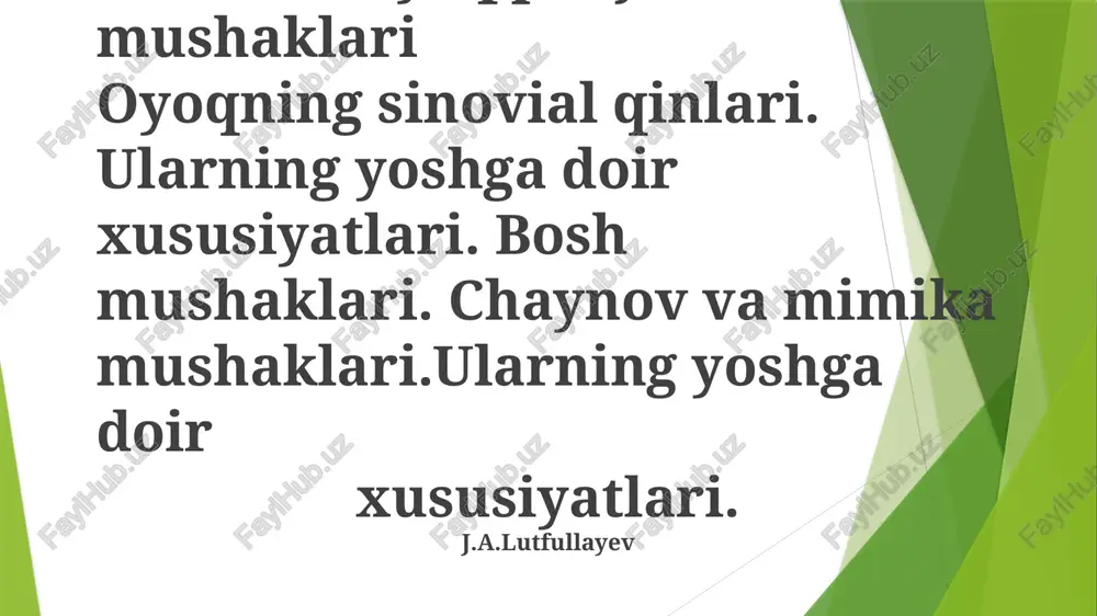 chanoq va son mushaklari — PPTX