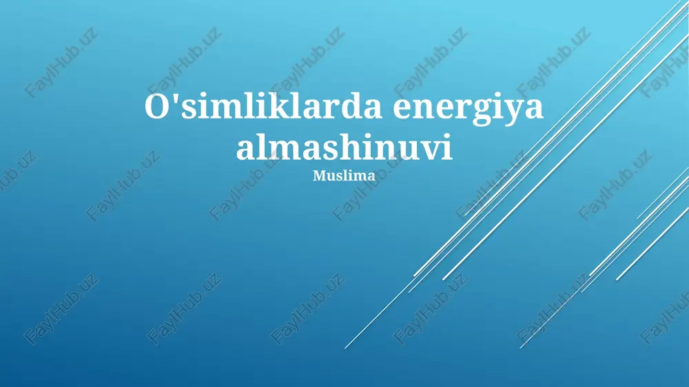o'simliklarda energiya almashinuvi — PPTX