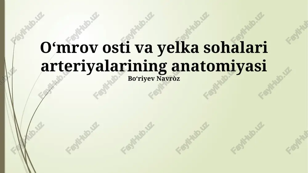 oʻmrov osti va yelka sohalari arteriyalarining anatomiyasi — PPTX