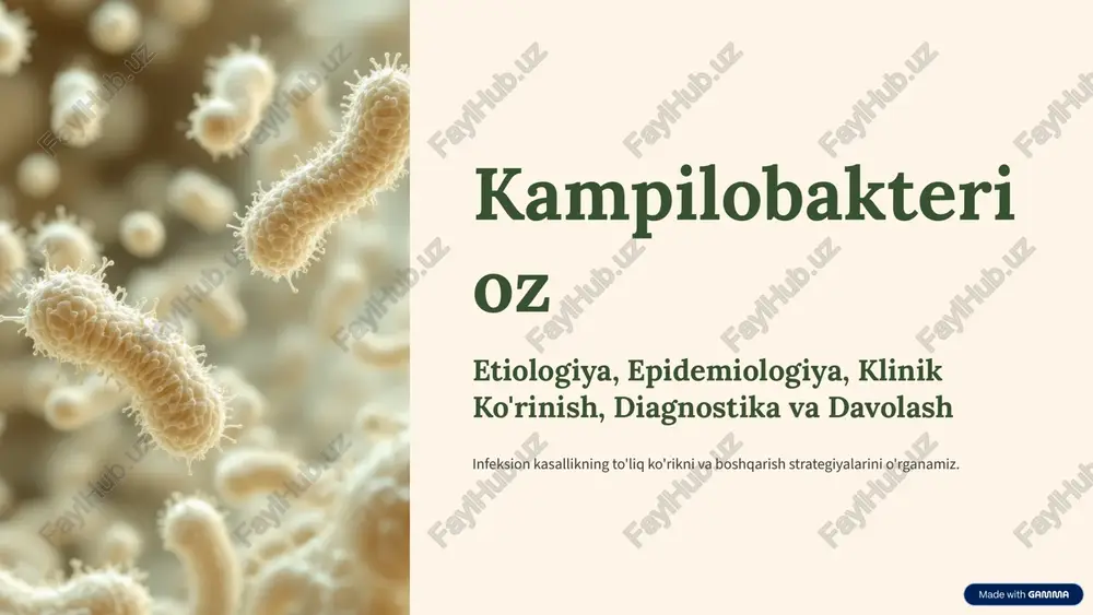 kampilobakterioz — PPTX