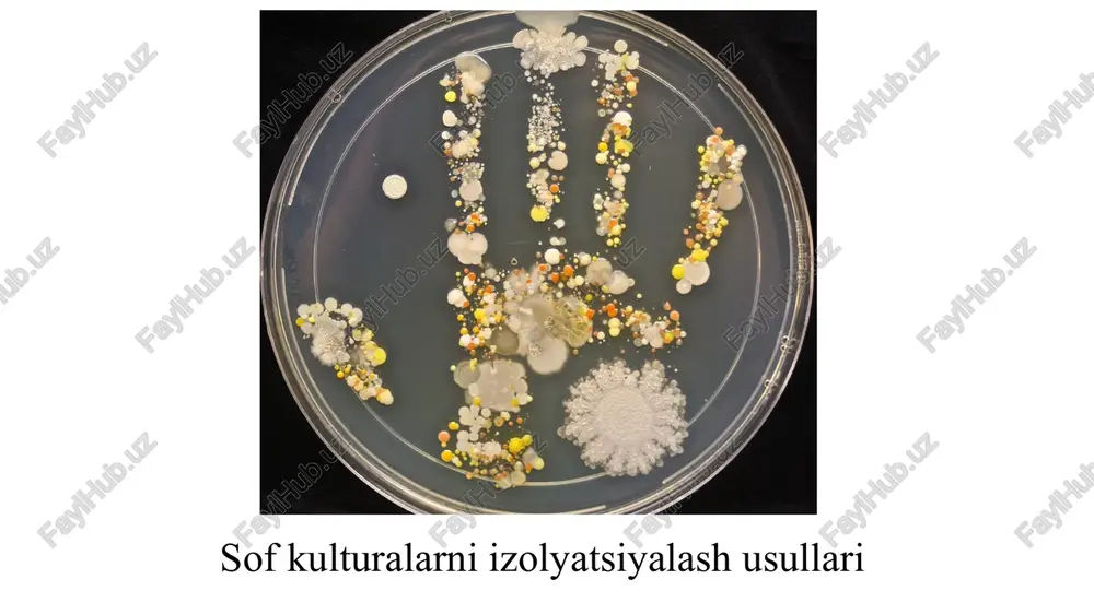 sofkulturalarniizolyatsiyalashusullari — PPTX
