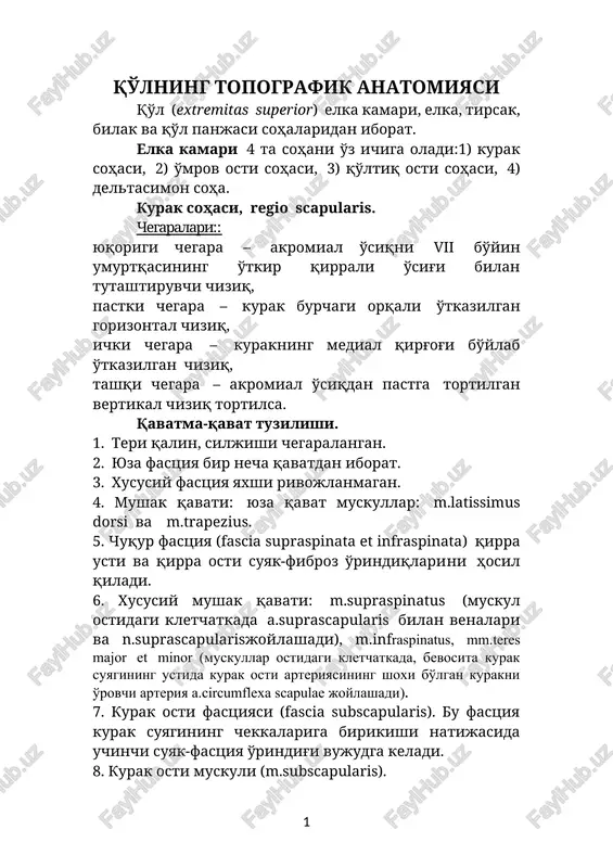 qo'lning topografik anatomiyasi — DOCX
