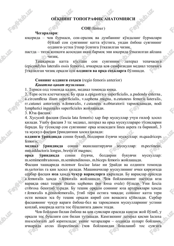 oyoqning topografik anatomiyasi — PDF