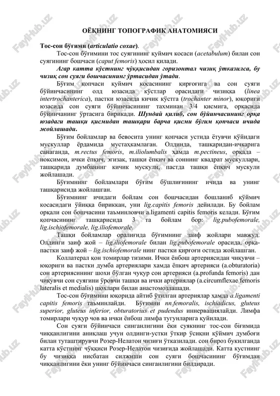 tos-son bo'g'imi (articulatio coxae) — DOCX