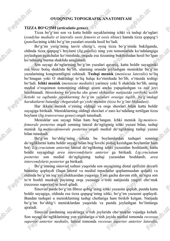 oyoqning topografik anatomiyasi — DOCX