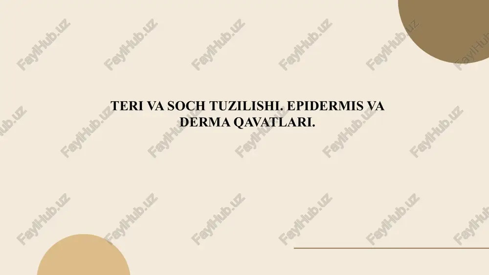 teri va soch tuzilishi. epidermis va derma qavatlari — PPTX