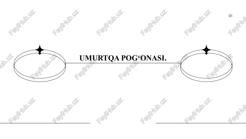 umurtqa pog'onasi — PPTX
