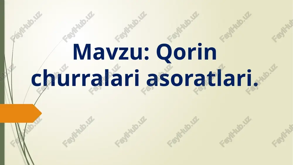 qorin tashqi churrasi — PPTX