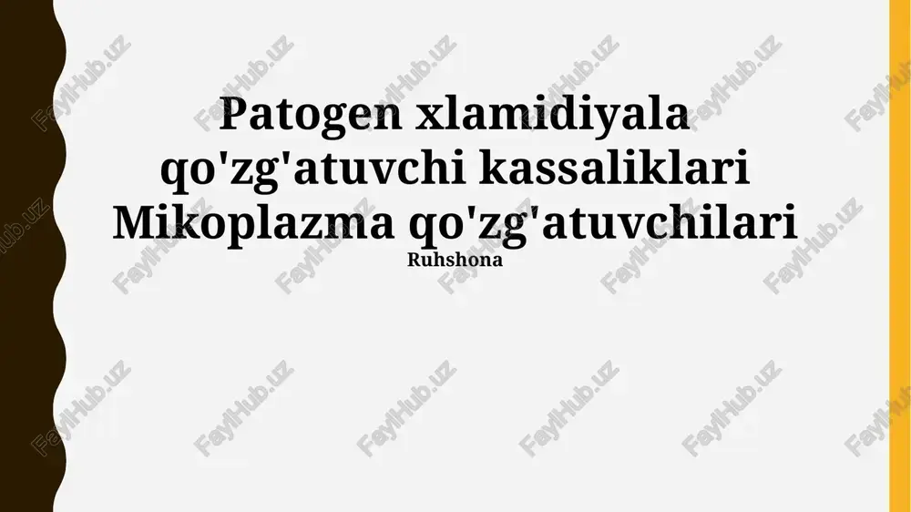 xlamidiya va mikoplazma infektsiyalari — PPTX