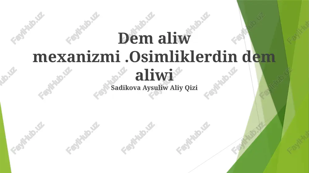 nafaas olish mexanizmlari — PPTX