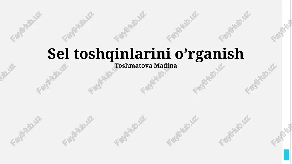 sel toshqinlarini o’rganish — PPTX