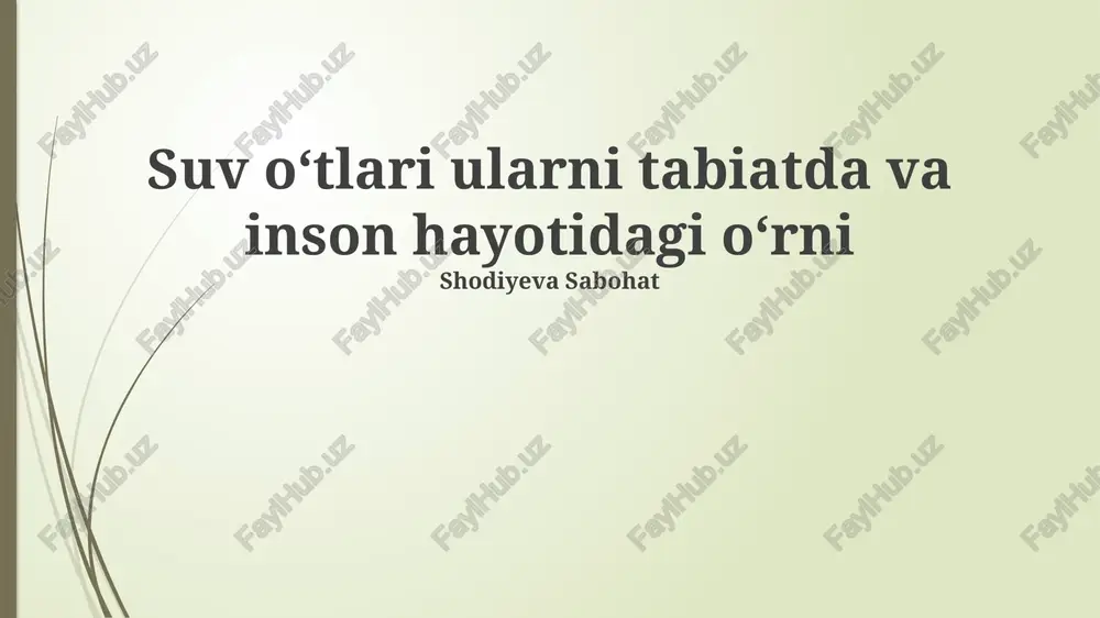 o'tlarning dorivor xususiyatlari — PPTX