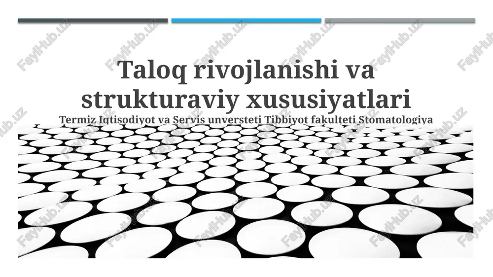 taloq rivojlanishi va strukturaviy xususiyatlari — PPTX