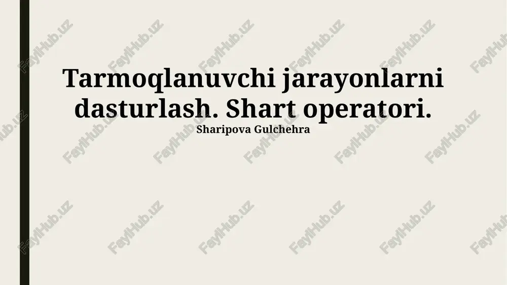 o'zaro istisnolardan himoya — PPTX