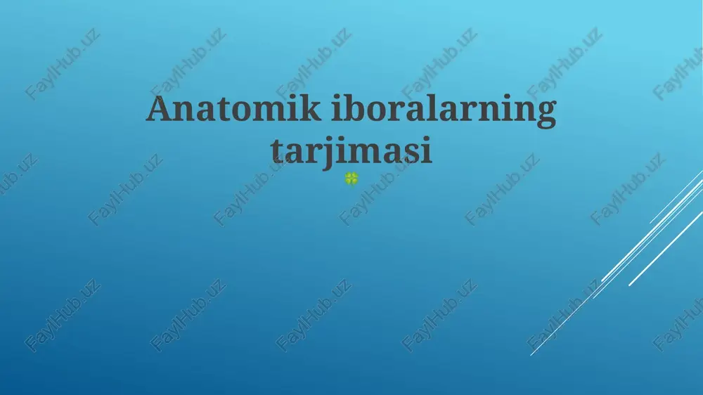 anatomik iboralarning tarjimasi — PPTX