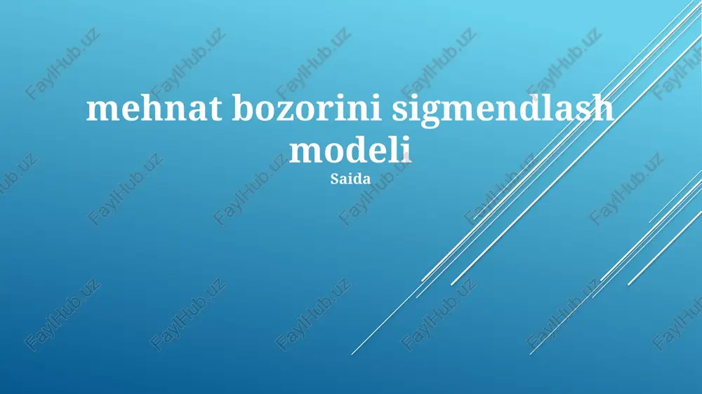 mehnat bozorini sigmendlash modeli — PPTX