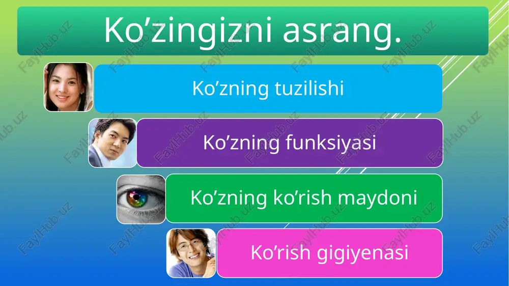 ko’zningtuzilishi — PPTX