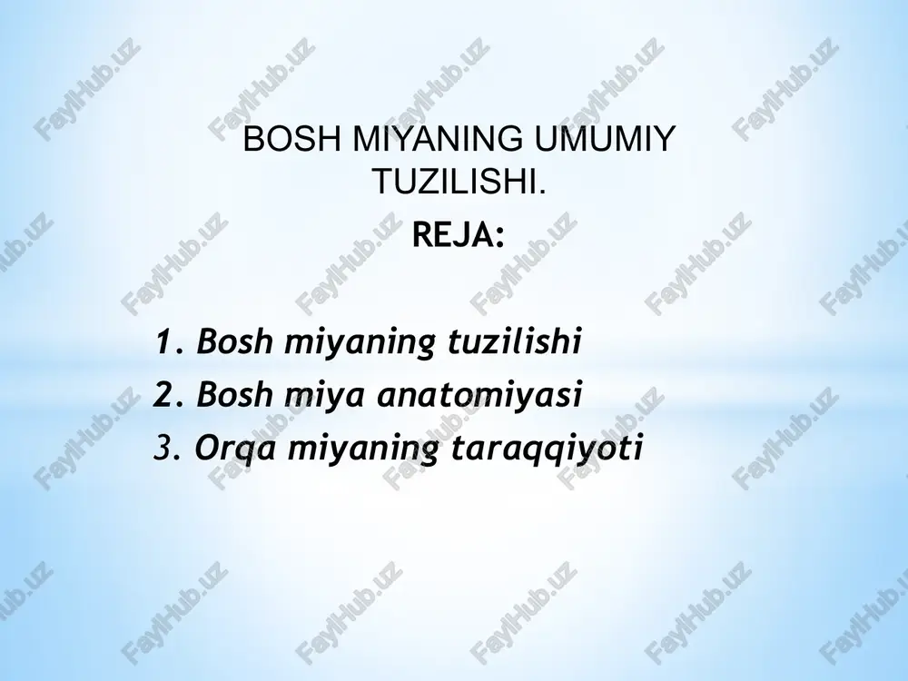 bosh miyaning umumiy tuzilishi — PPTX