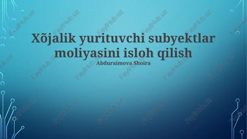 nodavlat tashkilotlari moliyasi — PPTX