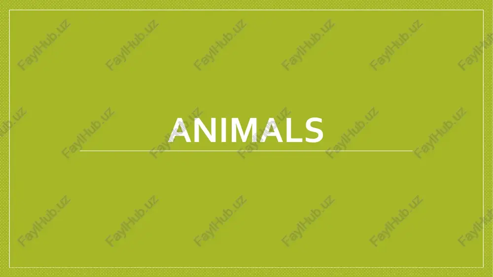 animals — PDF