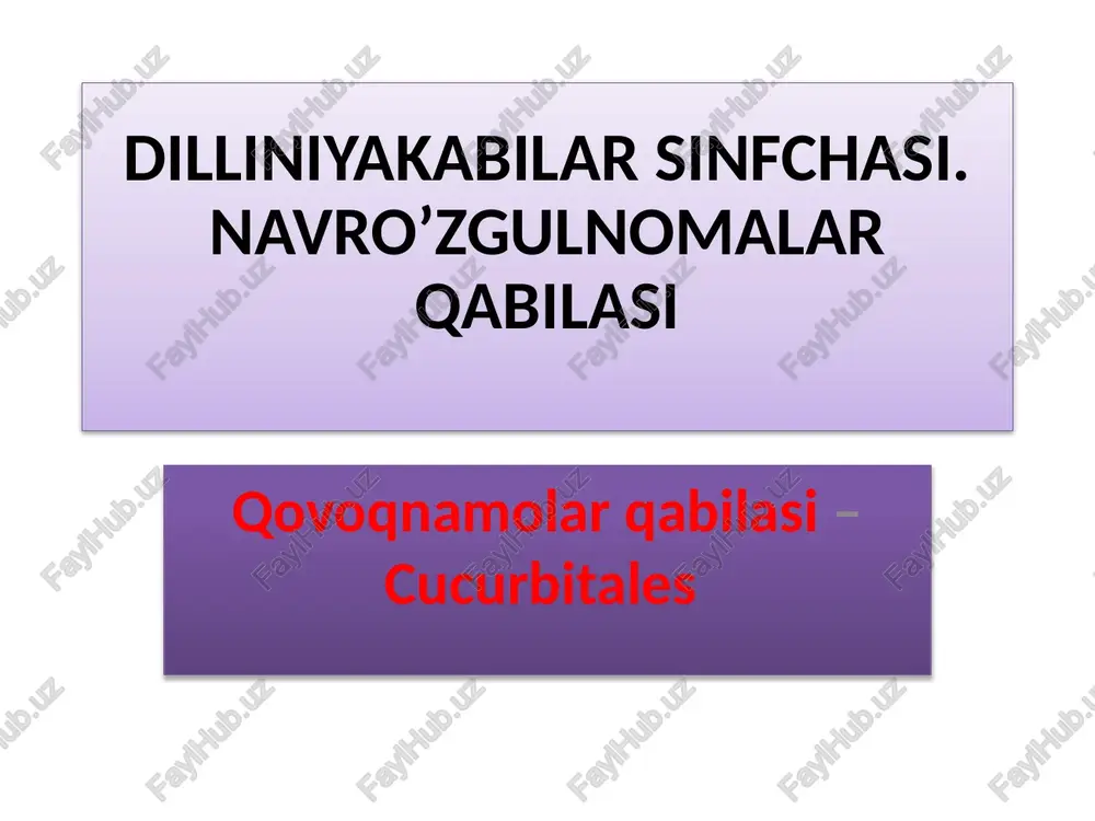 dilleniyakabilar sinfchasi — PPTX