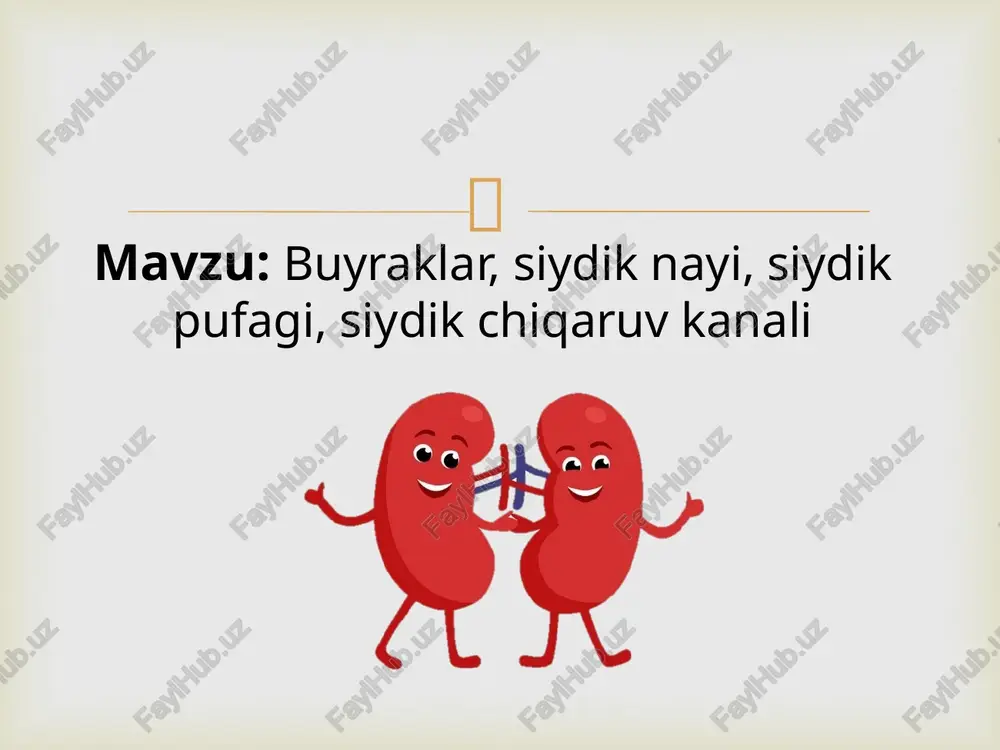 ayirish sistemasi — PPTX