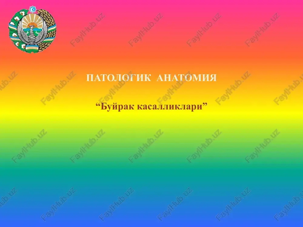 patologik anatomiya “buyrak kasalliklari” — PPTX