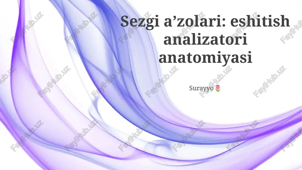 sezgi a’zolari: eshitish analizatori anatomiyasi — PPTX