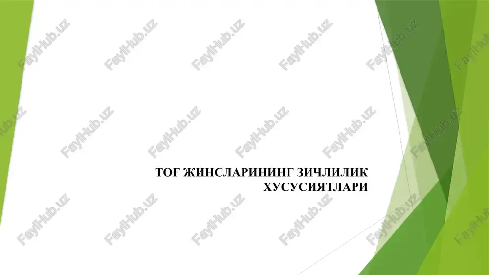 tog' jinslarining zichlilik xususiyatlari — PPTX