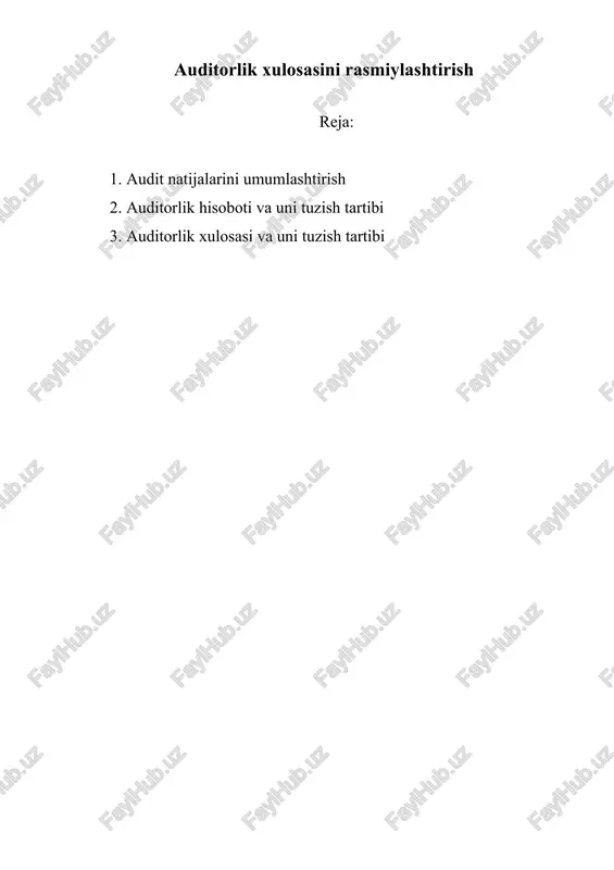 auditorlik xulosasini rasmiylashtirish — DOCX